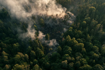 Waldbrandstatistik | Coway Europe