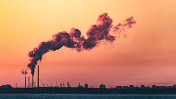 Gibt es einen Zusammenhang zwischen Luftverschmutzung und männlicher Unfruchtbarkeit?