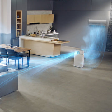 Die 12 wichtigsten Vorteile von Luftreinigern: Wissenschaftlich belegt