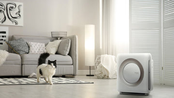 Gesunde Business-Tipps: Kitty Cantina in Spokane, Washington