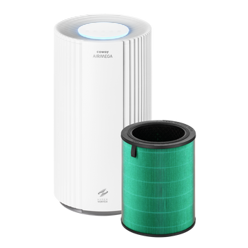 Filter für Airmega 350