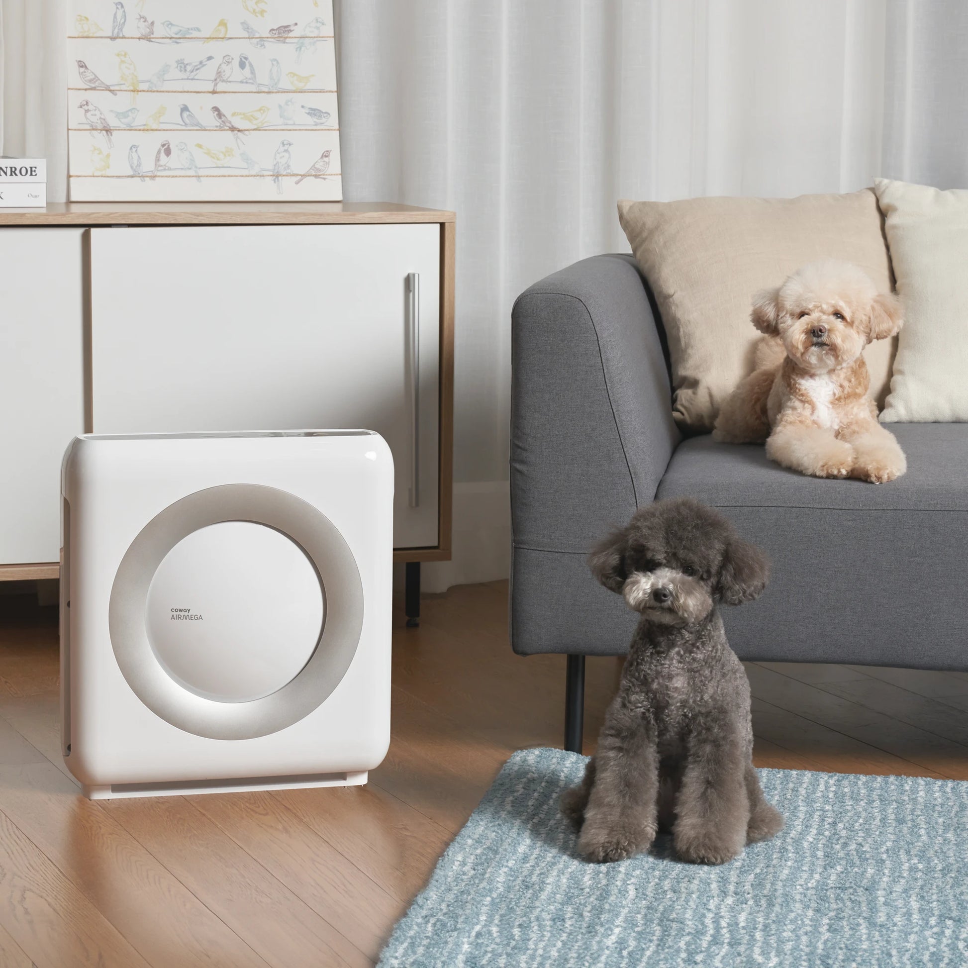 Airmega Mighty Weiß - Coway Deutschland