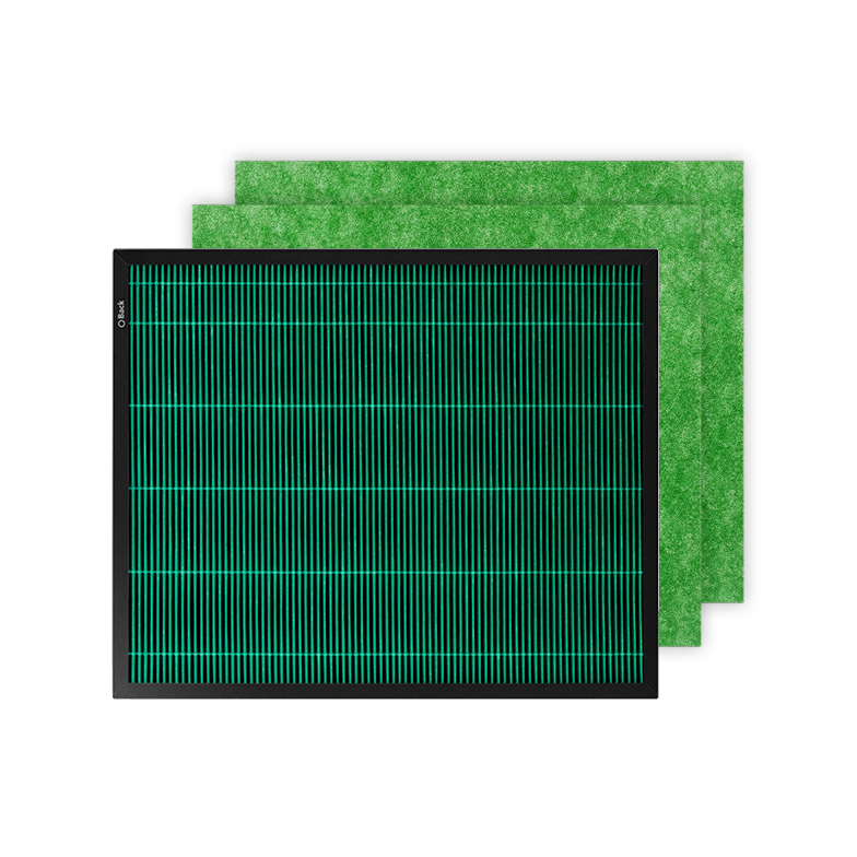 82e01249-d561-477a-8141-608a9783941d/mighty_allergen_filter_set_only_filter.png